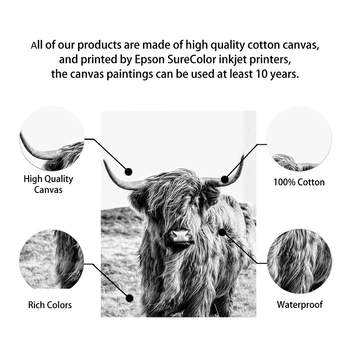 Škotijos Karvės Gyvūnų Drobės Tapybos Senovinių Plakatų ir grafikos Juodai Baltos Sienos Nuotraukas Kambarį Troba Namų Dekoro