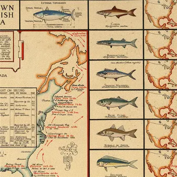 Žuvys Šiaurės Amerikos Žuvų Diagramos Plakatas Žvejys Dovanos, Ežeras Namai Retro Sienos Lipdukas Bar Pub Kambarį Namų Dekoro