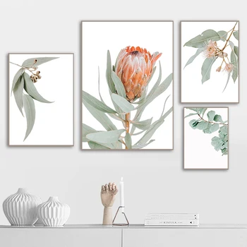 Australijos Augalų Lapų Karalius Protea Gėlės Sienos Menas Drobė Nuotraukas Paveikslai, Plakatai ir Spausdina Kambarį Namų dekoro