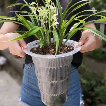 Meshpot Šaknis Kontrolės Aišku Banką Cattleya Orchidėjų Sodinimui su Oro Angomis Sodinamoji Namų Puošybai Plastiko Vazonas