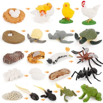 Modeliavimo Gyvūnų Augimo Ciklo Drugelis,Biedronka,Vištienos Gyvavimo Ciklo Statulėlės Plastikinių Modelių Veiksmų Skaičiai Švietimo Žaislas Vaikams