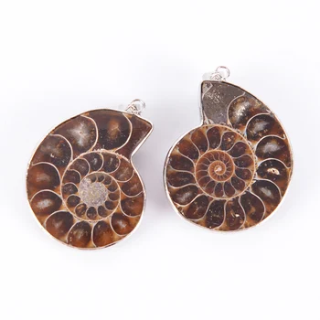 Natūralaus Akmens Ammonite Fosilijos Seashell Vandenyno Reliquiae Myli Gyvūnų Karoliai Sraigė Pakabučiai Pareiškimą Vyrų Papuošalų D837