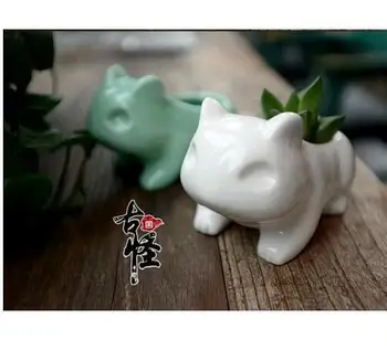 Naujas Atvykimo 3D Mielas Mini Keramikos Vazonas Bulbasaur Varlė Sodinamoji Balta Žalia Sultingi Augalų, Gėlių Vazonas Skylė-ZX0700