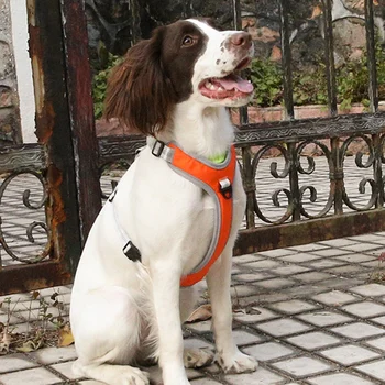 Pet Krūtinės Šunų Krūtinės Dirželis Reguliuojamas Pėsčiųjų Didelis Šuo, Krūtinės Pavadėlio