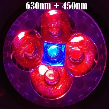 Viso Spektro LED Grow Light E27 / E14 / GU10 AC110 - 220V, Skirtas Hydroponic Sodo , Šiltnamio efektą sukeliančių & Augti Palapinė Augti Par Žibinto Lemputė