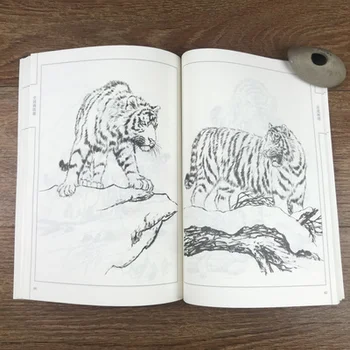 Šimtas Nuotraukų Aniaml Tigras Tradicija Kinijos Bai Miao Gong Bi Linijos Piešimo, Tapybos Meno Knyga