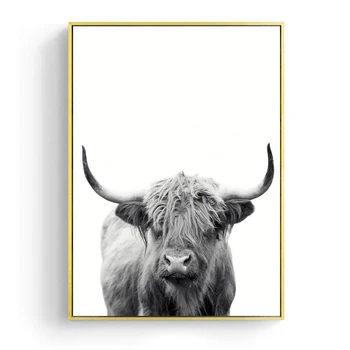 Šiuolaikinės Tapybos Drobės Juoda ir Balta Škotijos Galvijai Plakatus Spausdina Šiaurės šalių Sienos Meno Karvė Nuotraukas Kambarį Namų Dekoro