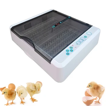 36 Kiaušinių Inkubatorius, Automatinė Kiaušinių Inkubatorius Paukščių Hatcher Skaitmeninių Ekranų LED Temperatūros Valdymo Tekinimo Šviesos Viščiukų
