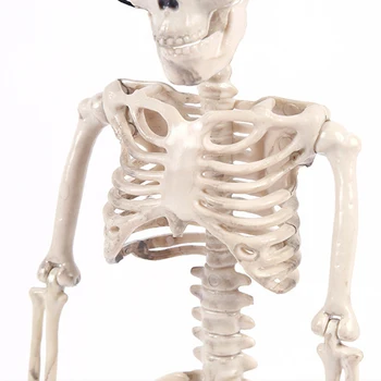 Juokingi Skeletas Žaislų Dekoravimo, Modeliavimo Žmogaus Kūno Plastiko Skeletas Žaislas Kalėdų Helovinas Apdailos Kambarys Haunted House Rekvizitai