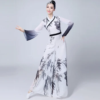 Klasikinio šokio kostiumai moterų suaugusiųjų elegantiškas naujojo Kinijos rašalo šokių drabužių nacionalinis veiklos Kinijos liaudies šokių drabužiai