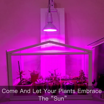 LED Grow Light Visą Spektrą Phytolight Fito Lempa E27 PhytoLamps Kambarinių Gėlių, Daržovių, Augalų Palapinę Lauke Sodinukai, Sėklos