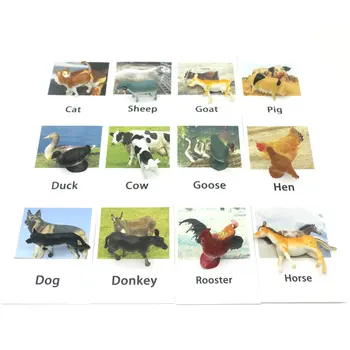 Montessori Gestų, Anglų Gyvūnų Flash Kortelės Kišenė Korteles Mokymosi Švietimo Žaislai, Anglų Kalbos Žodis Nuotrauką Rungtynės Žaidimas Kūdikių Dovanų