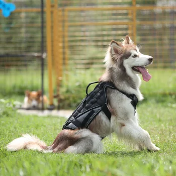 Nailono K9 Šunų Panaudoti Taktikos Atspindintis Šuns Pakinktai Greitai Kontrolės Nr. Traukti Pet Liemenė Su Liftu Handl Vidutinio Dideli Šunys