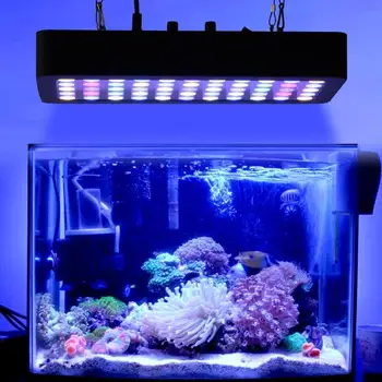 Pritemdomi 165w viso spektro led akvariumo lempa coral reef akvariumas, led apšvietimas geriausia Žuvų tankai Jūros augalų Augimo