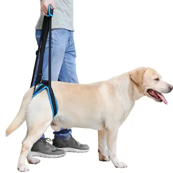 Šuo, Pakelkite Diržas už Nugaros Reguliuojamas Kojų, Kėlimo Diržai, už Užpakalinių Kojų Padėti Silpnos Kojos Stovi Pagalbos Padėti Pajungti