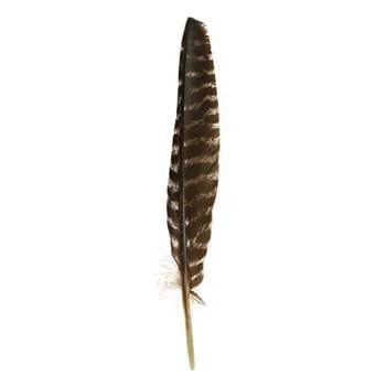 35cm dydžio black Turkija plunksna baltos spalvos sage dega ar namų puošybai