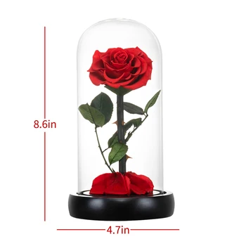 AINYROSE Eternal Rose Grožio ir Žvėrys Rose Amžina Dirbtinių Gėlių LED Stiklo Kupolu, Kalėdų, Valentino Vestuvių Dovana