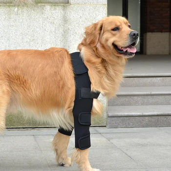 Alkūnės Gyja Medicinos Mažylis Žalos Išieškoti Kvėpuojantis Šuo Rankovės Kojos Įtvaras Pet Padėti Kelio Reikmenys Apsaugos Trinkelėmis Žaizdos