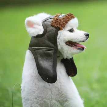 Nauja Šunų Reikmenys Naminių Šunų Skrybėlę Mažylis Šiltas, Patogus, Gražus Poilt Bžūp Rudens Žiemos Kašmyras