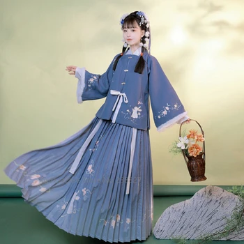 XinHuaEase Kinijos Tradicinių Drabužių Moterims Hanfu Žiemos Senovės Ponios Drabužiai Pasakos Cosplay Kostiumų Ming Dinastijos Elegantiškas